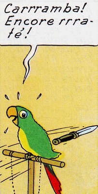 Image attach�e